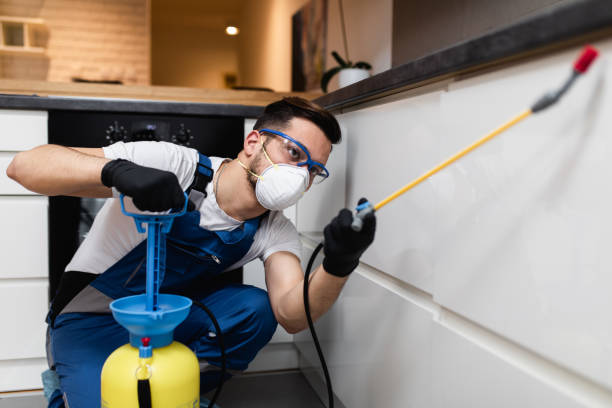  Minorca, LA Pest Control Pros