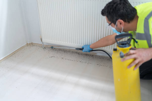 Best Affordable Pest Control Services  in Minorca, LA